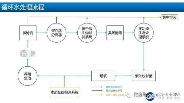 工廠化水產養殖 技術革新背后的“人”本設計與可持續發展